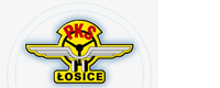 PKS w Łosicach Sp. z o.o.